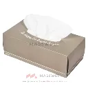 riverpro-facial-tissue-170sheets-1.webp