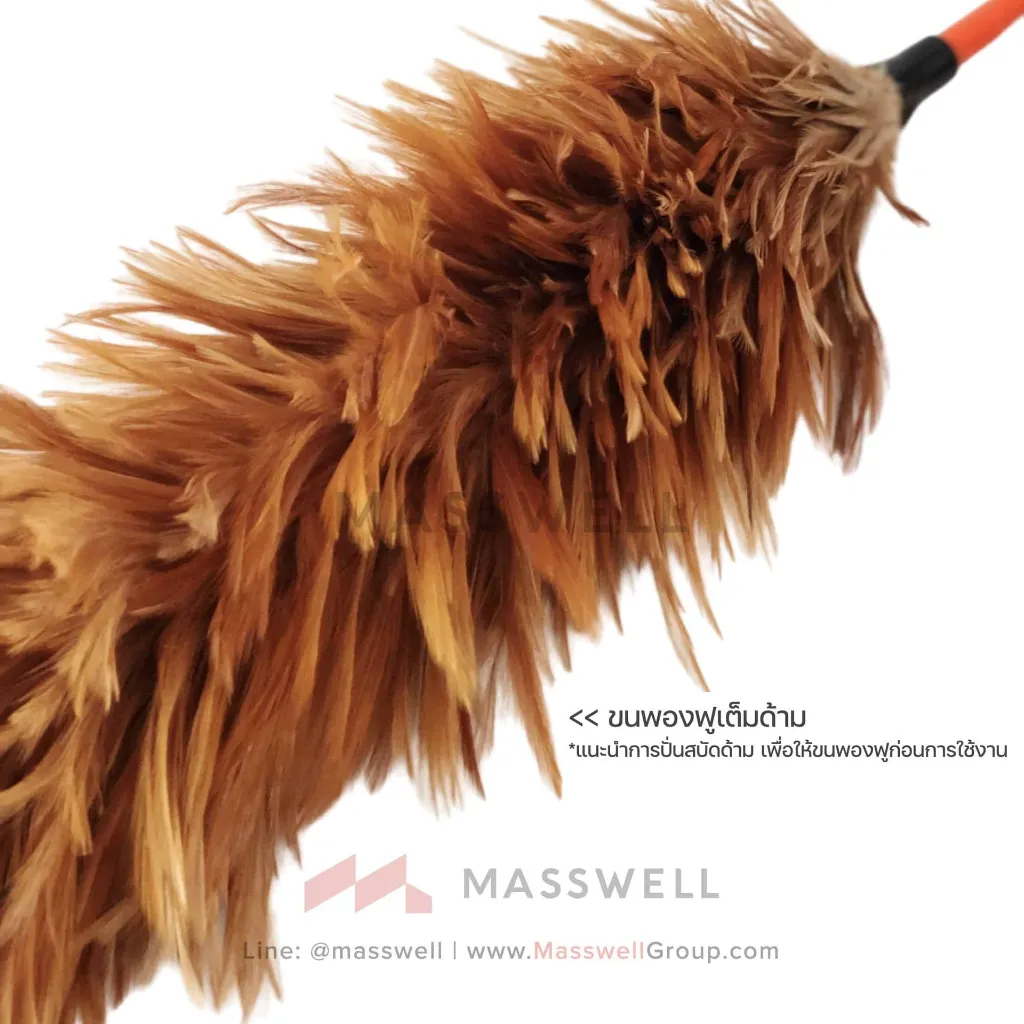 feather-duster-60cm-3.webp