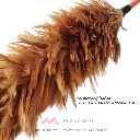 feather-duster-60cm-3.webp