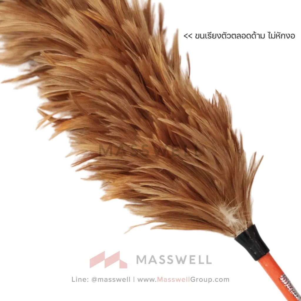 feather-duster-60cm-4.webp